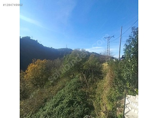 TİREBOLU CİVİL KÖYÜNDE SATILIK İÇİNDE EV OLAN FINDIK BAHÇESİ - GİRESUN TİREBOLU fotoğraf 17