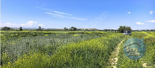 KONYA KADINHANI ATLANTI DA 1.100 M² TARLAMIZ SATILIKTIR - KONYA KADINHANI fotoğraf 5