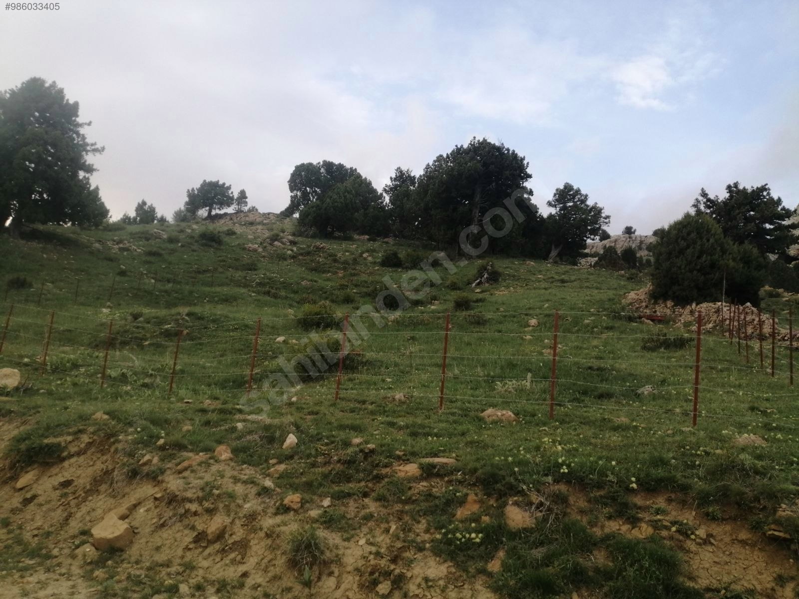 Meyva Bahçesi Yapmaya uygun İmamlı Yaylasında Tarla 1.793 m² ANTALYA ALANYA - ANTALYA ALANYA fotoğraf 8