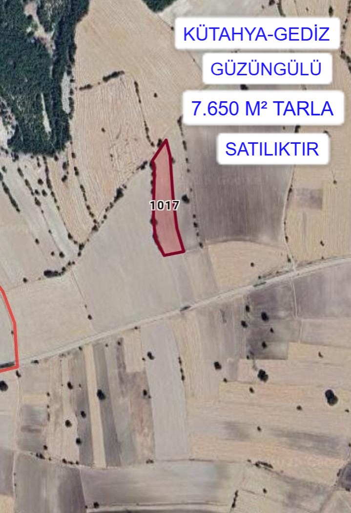 KÜTAHYA GEDİZ GÜZÜNGÜLÜ KÖYÜNDE 7.650 M² TARLA SATILIKTIR. - KÜTAHYA GEDİZ fotoğraf 2