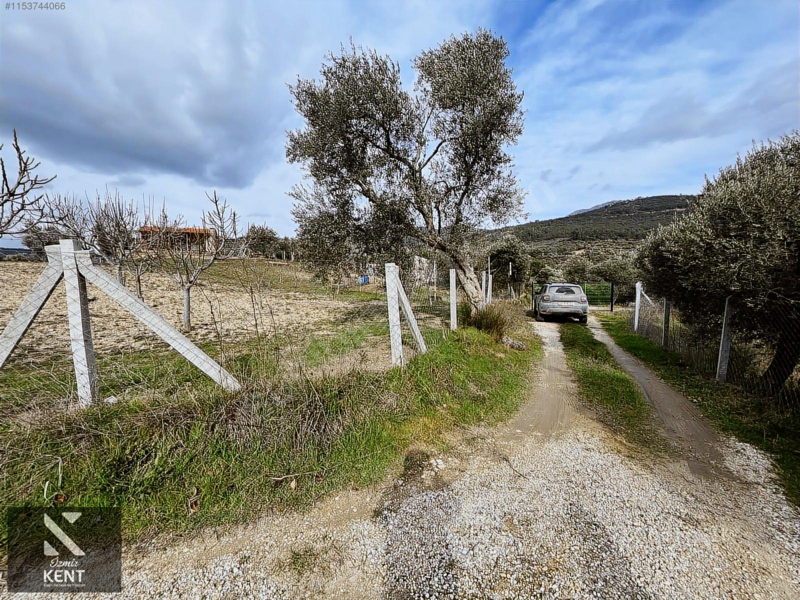 Kemalpaşa Gökyaka Satılık 2700 m2 Bahçe - İZMİR KEMALPAŞA fotoğraf 16