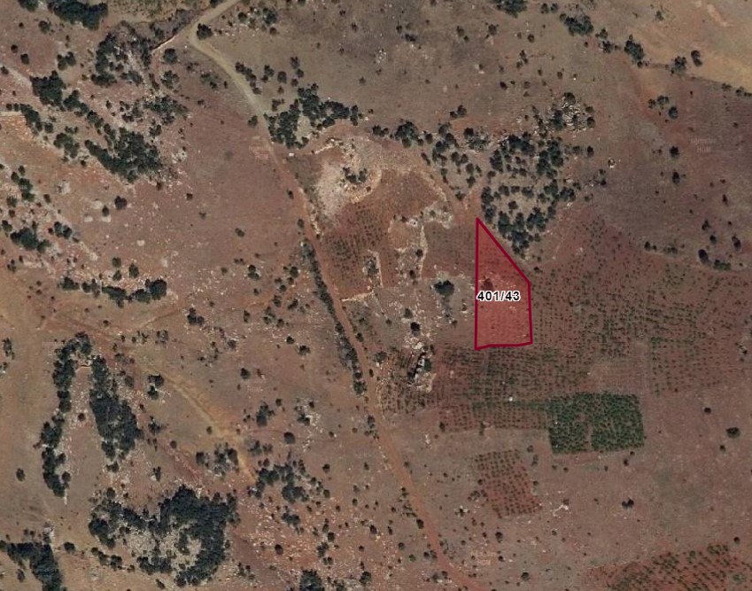 KONYA BOZKIR HAMZALAR KÖYÜNDE 1.443 M2 BAĞ SATILIKTIR. - KONYA BOZKIR fotoğraf 2