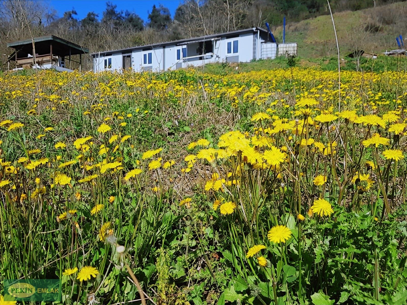 PEKİN EMLAKTAN İZMİT TE SATILIK ARAZİ - KOCAELİ İZMİT fotoğraf 9