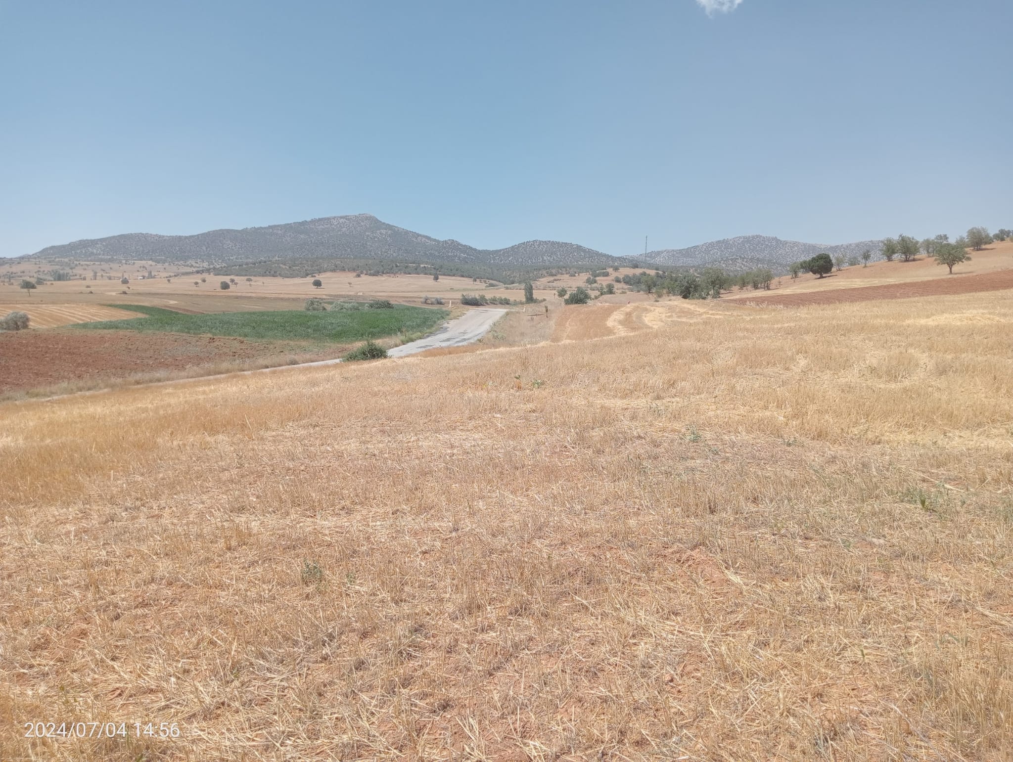    KARAMAN MERKEZ MURATDEDE  KÖYÜNDE 2.927  M²  TARLA  SATILIKTIR - KARAMAN MERKEZ fotoğraf 18