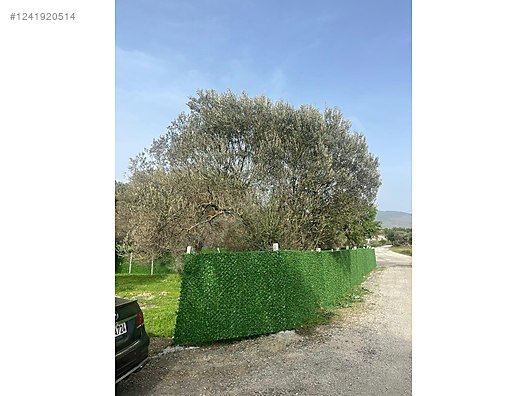 İZMİR-ALİAĞA-BOZKÖY’DE TARLA’NIN 300 M² ‘Sİ SATILIKTIR - İZMİR ALİAĞA fotoğraf 12