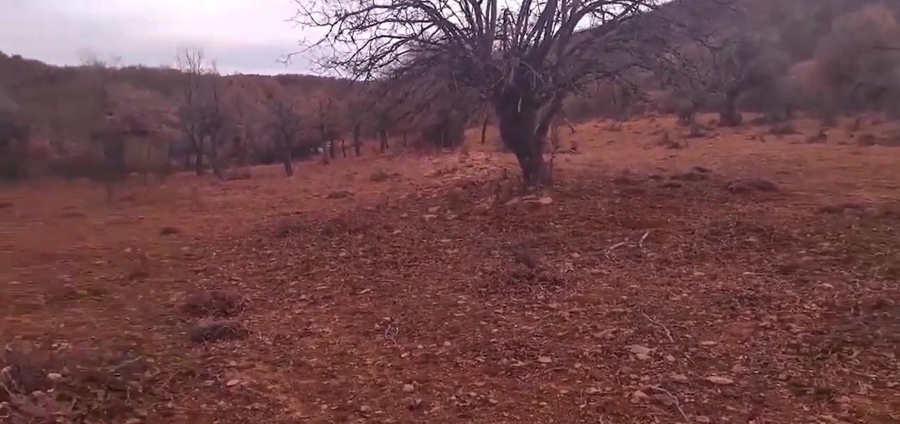 KONYA BOZKIR HACILAR KÖYÜNDE 4.809 M² TARLA SATILIKTIR