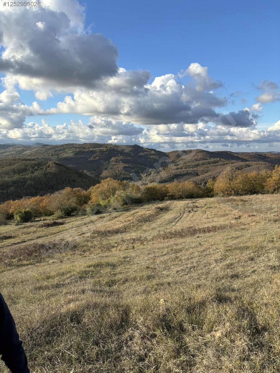 KOCAELİ İZMİT BULDUK  KÖYÜNDE 1.929 M²  TARLA  SATILIKTIR - KOCAELİ İZMİT fotoğraf 4