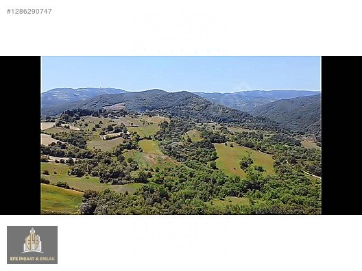ALTINOVA ÖRENCİKTE 6982 M2 YOLA 66 M YATIRIMA UYGUN MÜSTAKİL - YALOVA ALTINOVA fotoğraf 29