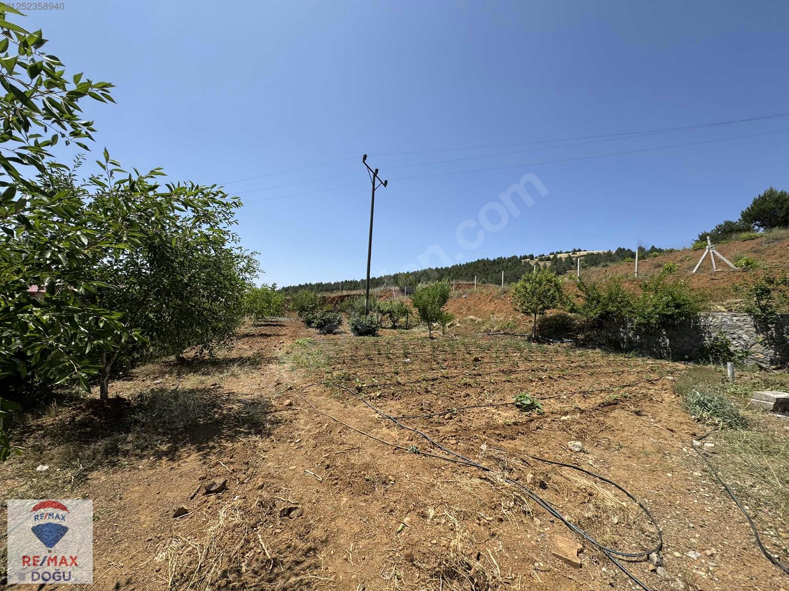 REMAX DOĞUDAN GEZİNDE SATILIK 2.500 M2 BAHÇELİ EV - ELAZIĞ MADEN fotoğraf 5