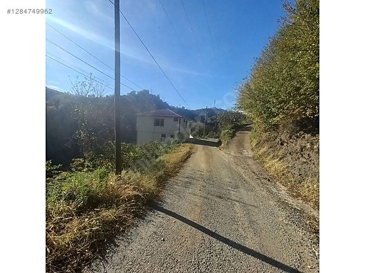 TİREBOLU CİVİL KÖYÜNDE SATILIK İÇİNDE EV OLAN FINDIK BAHÇESİ - GİRESUN TİREBOLU fotoğraf 9