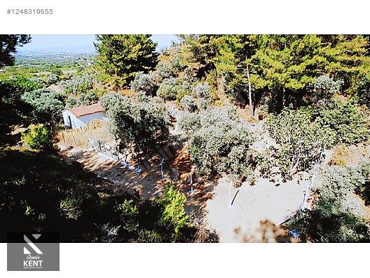 Kemalpaşa Armutlu Satılık 300 m2 Bahçe Tek Tapu - İZMİR KEMALPAŞA fotoğraf 28