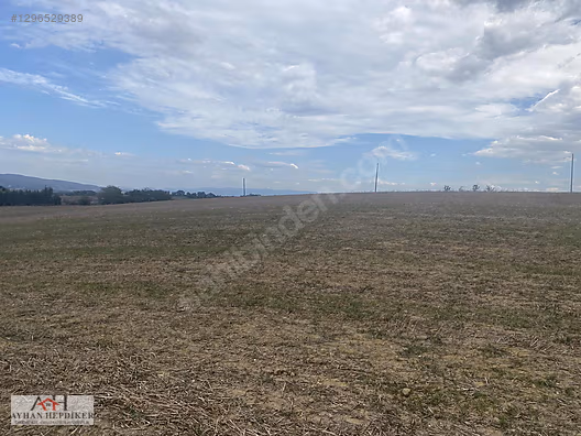 KOCAELİ ARAMAN DA ADAPAZARI KANDIRA YOLUNA CEPHELİ 3506 M2 TARLA - KOCAELİ KANDIRA fotoğraf 17