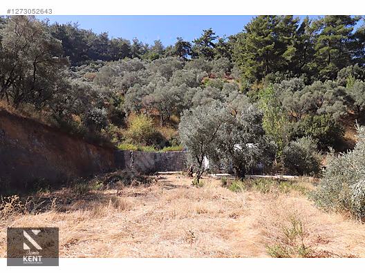 Kemalpaşa Aşağıkızılca Satılık 4536 m2 Bahçe - İZMİR KEMALPAŞA fotoğraf 26