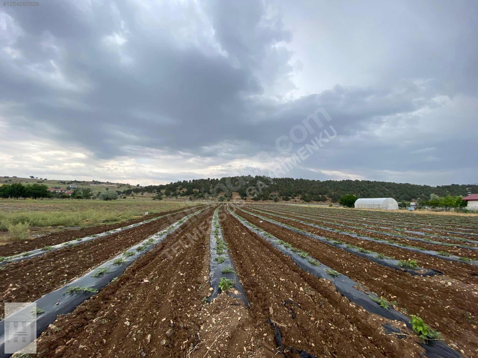 Yayla karaçulhada problemsiz ev için uygun tarla - MUĞLA SEYDİKEMER fotoğraf 3