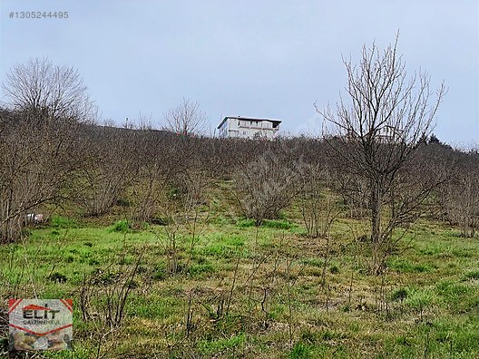 Kocaali Kirazlı'da 4.286m² Fındık Bahçesi ve 780m² İmarlı Arsa - SAKARYA KOCAALİ fotoğraf 59