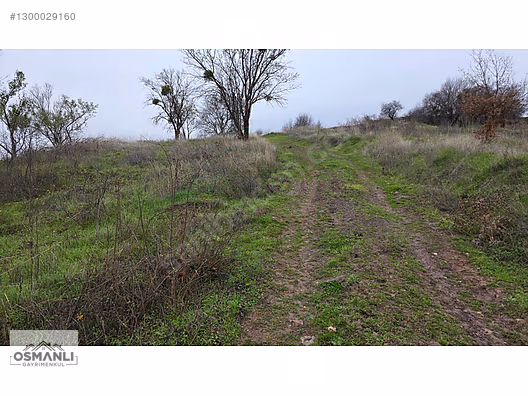 RESMİ YOLLU 800 M2 MANZARALI HOBİ BAHÇESİ - BİLECİK GÖLPAZARI fotoğraf 13