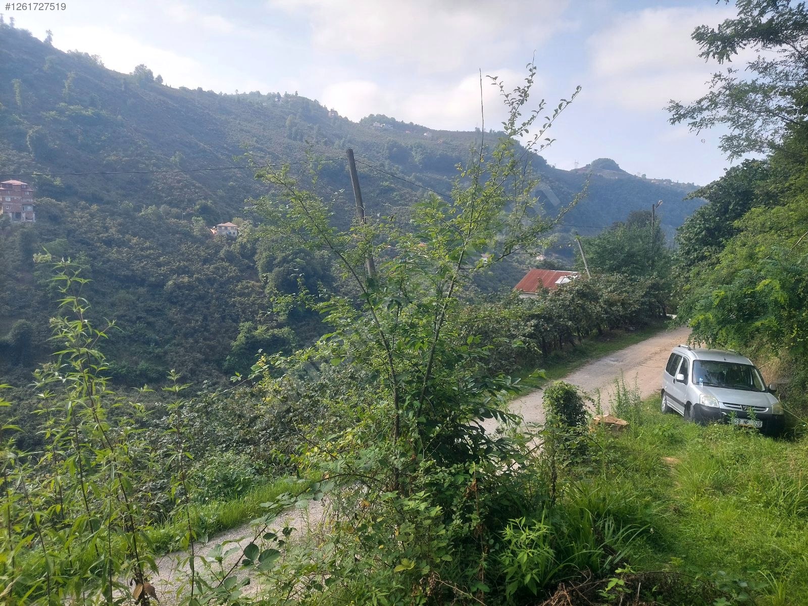 KORKMAZ EMLAK'TAN YUNUSLU KÖYÜNDE SATILIK FINDIK BAHÇESİ - GİRESUN BULANCAK fotoğraf 4