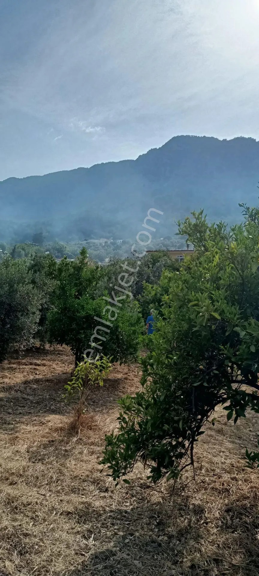 Kumluca Adrasanda Satılık Arsa-tarla( Dönüm Fiyatı) - ANTALYA KUMLUCA fotoğraf 20