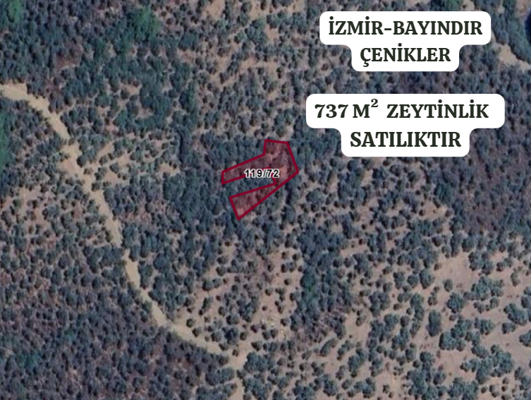 İZMİR BAYINDIR ÇENİKLER  KÖYÜNDE 737  M² ZEYTİNLİK  SATILIKTIR - İZMİR BAYINDIR fotoğraf 2