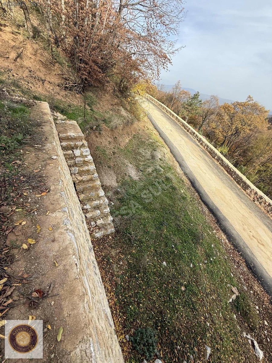 KESTEL LÜTFIYE MH SATILIK 1806M2 TARLA ASVALT YOLA CEPHE - BURSA KESTEL fotoğraf 37