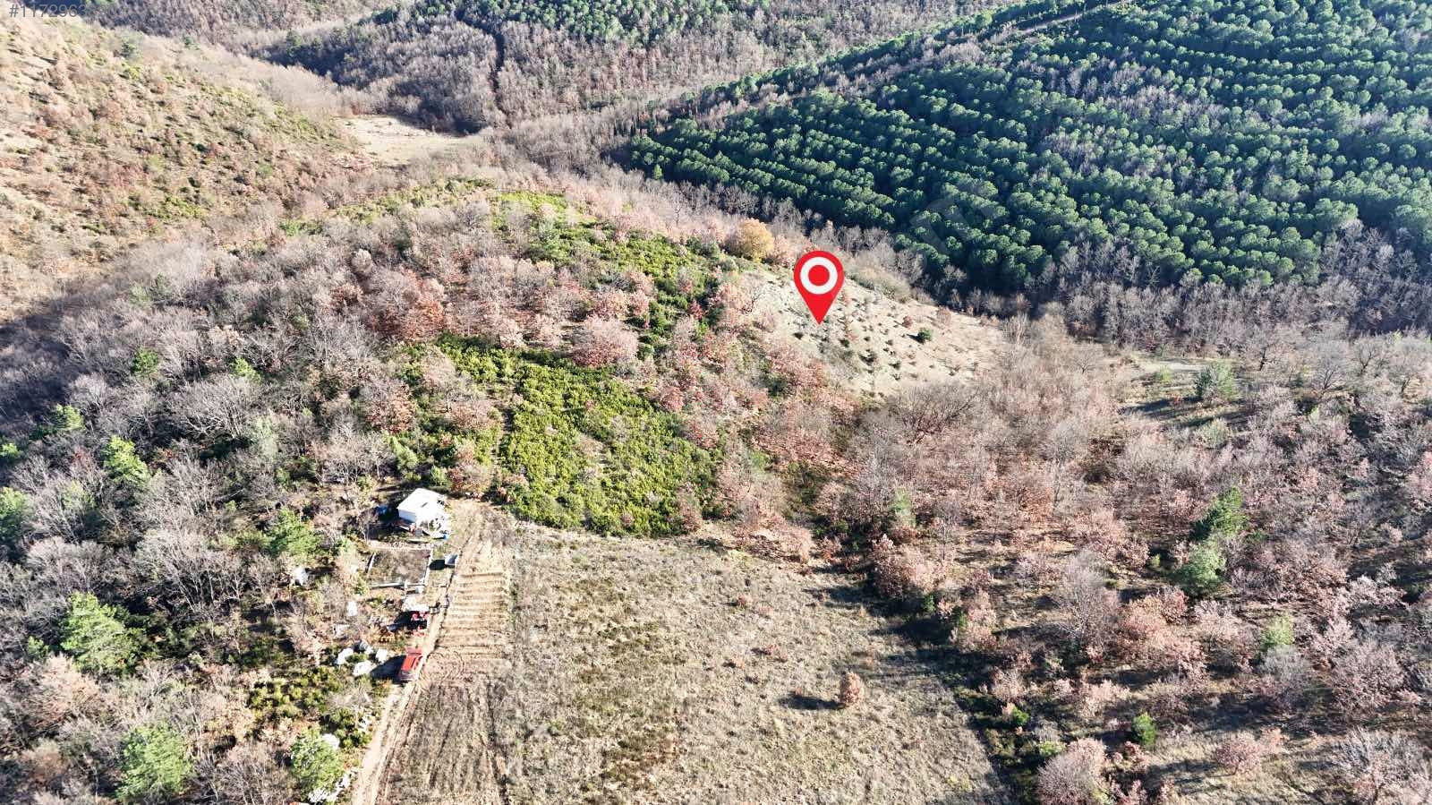 BURSA KELEŞ PINARCIK'TA 1.634  M² TARLA SATILIKTIR. - BURSA İZNİK fotoğraf 19