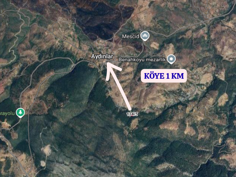 KÜTAHYA TAVŞANLI AYDINLAR  KÖYÜNDE 1.247 M²  TARLA  SATILIKTIR - KÜTAHYA TAVŞANLI fotoğraf 4