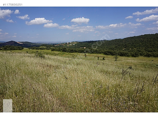 ÇANAKKALE BAYRAMİÇ MURATLAR KÖYÜ 45.000 m2 TARLA - ÇANAKKALE BAYRAMİÇ fotoğraf 32