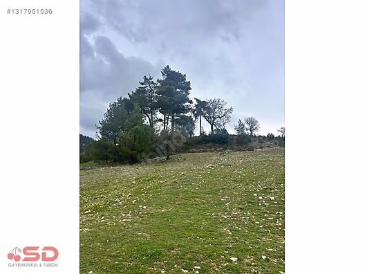 Muğla Akbük koyuna 15 dk mesafede kelepir 1777 m2 arazi - MUĞLA MENTEŞE fotoğraf 8