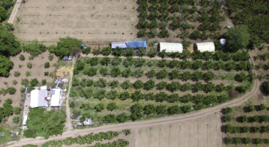 BURSA KESTEL NARLIDERE KÖYÜNDE 3.090 M² TARLA SATILIKTIR - BURSA KESTEL fotoğraf 7