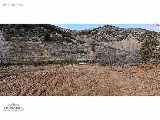KÜRE KÖYÜNE 5 DK MESAFEDE İÇİ DÜZELTİLMİŞ 1.450 M2 SATILIK ARAZİ - BİLECİK SÖĞÜT fotoğraf 7