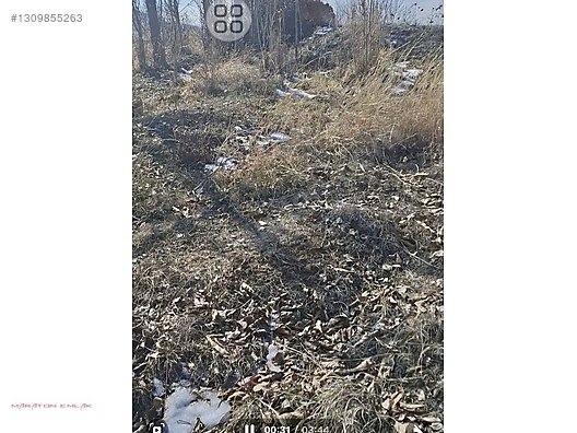 KEMER DE ŞEHİR MANZARALI 7500M2 İÇİNDE 50 KADAR YETİŞMİŞ CEVİZ - BURDUR KEMER fotoğraf 25