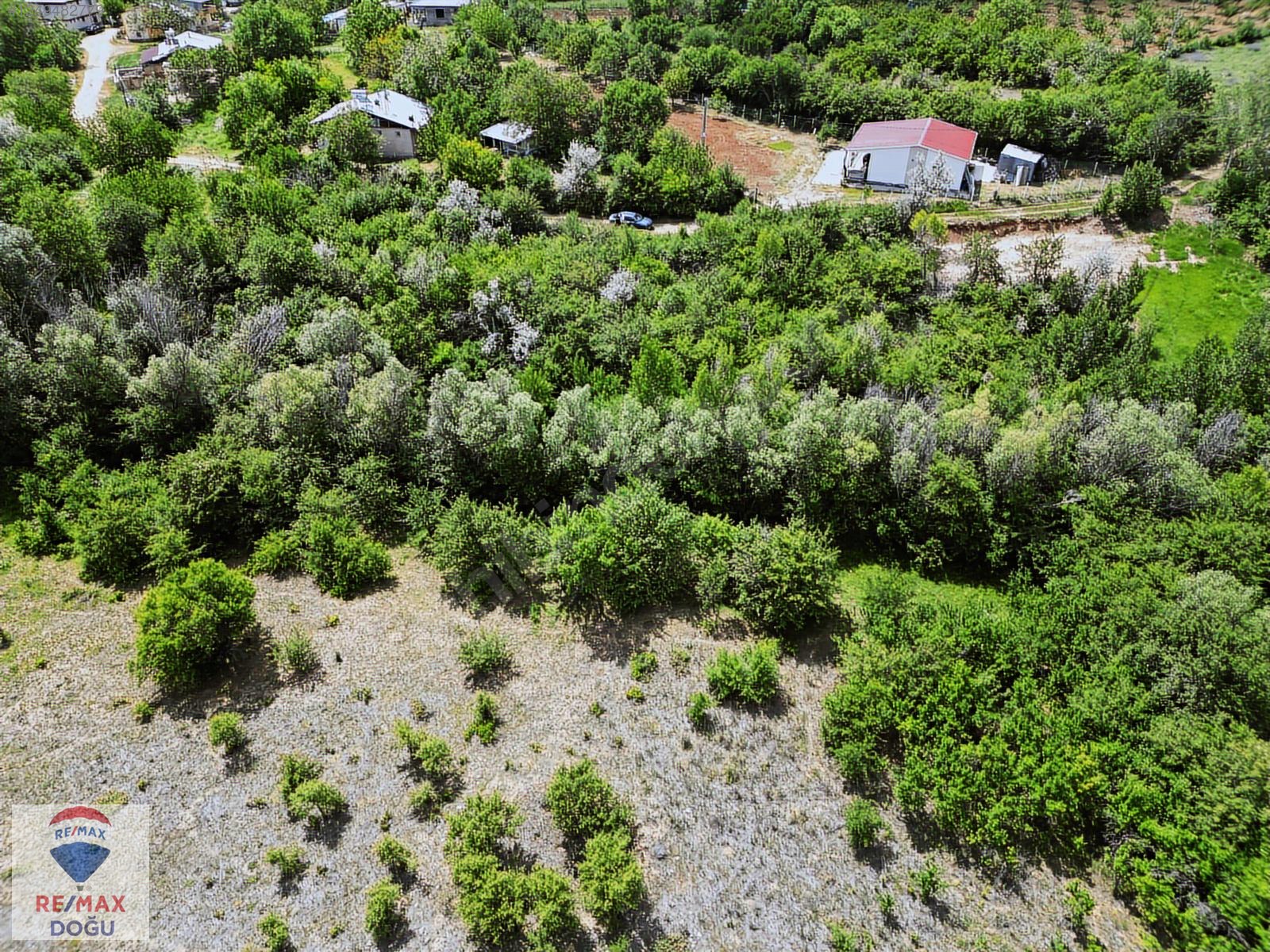 REMAX DOĞUDAN SÜTLÜCE MERKEZDE SATILIK MEYVE BAHÇESİ - ELAZIĞ MERKEZ fotoğraf 4