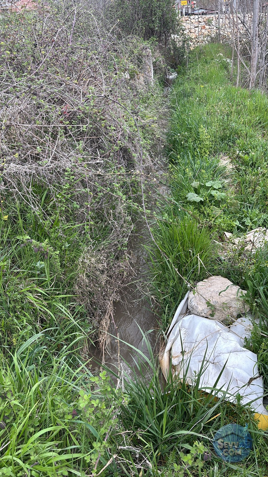 YEŞİLLİKLER DİYARI SUYUN CENNETİ YEŞİLBAŞKÖYDE SATILIK ARAZİ - Burdur Ağlasun fotoğraf 5