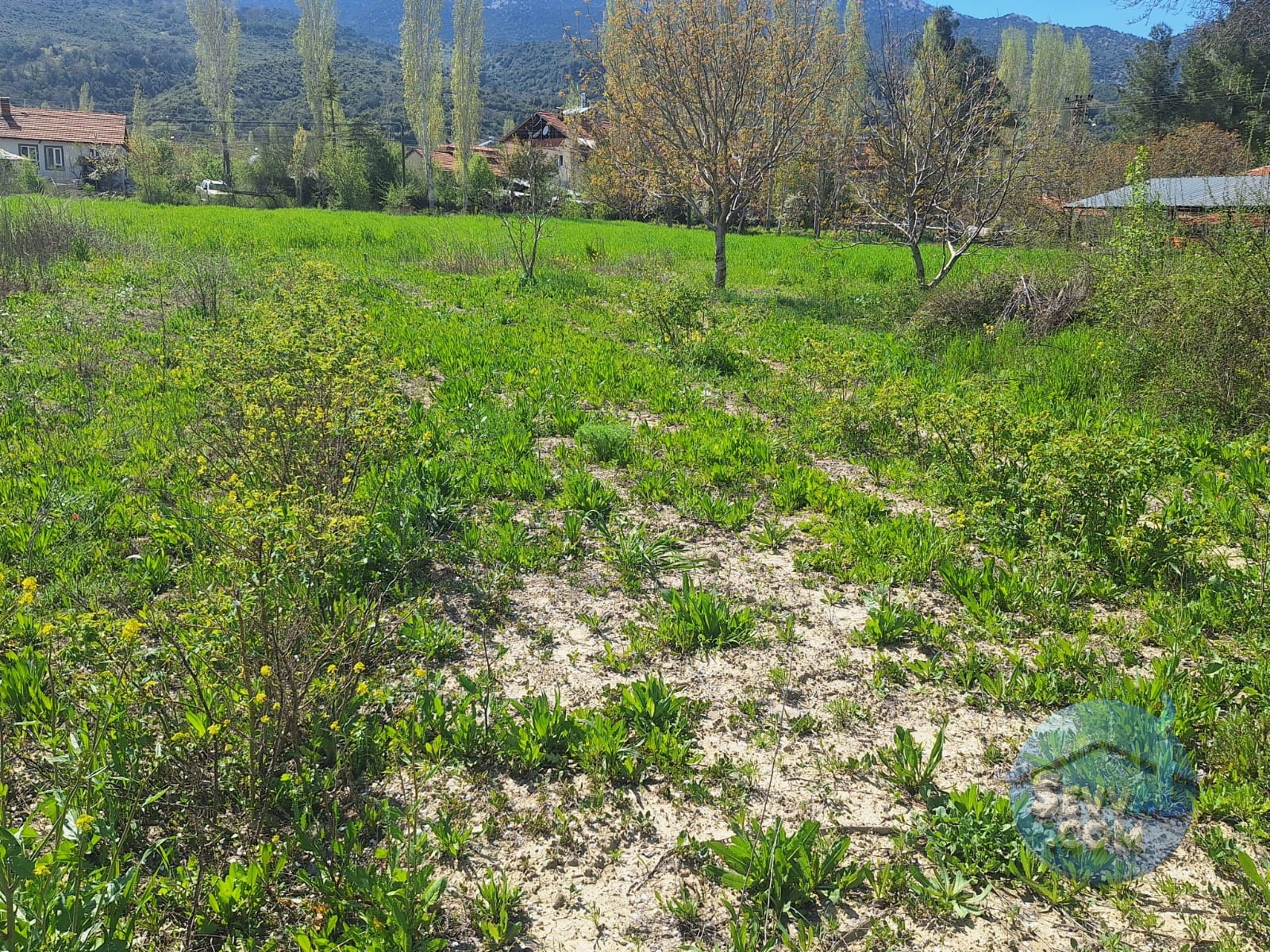 AĞLASUN KİBRİT KÖYÜNDE SATILIK FIRSAT ARAZİ - Burdur Ağlasun fotoğraf 18