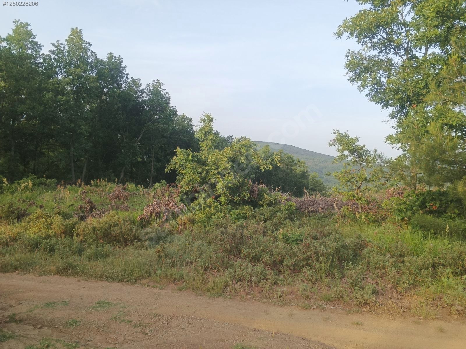 BURSA KESTEL KAYACIK KÖYÜ’NDE 5.523 M²  TARLA SATILIKTIR - BURSA KESTEL fotoğraf 13