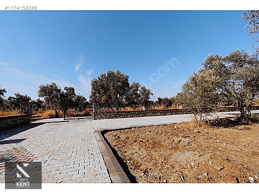 Kemalpaşa Sekiz Eylül Merkeze Yakın Satılık 3440 m2 Zeytinlik - İZMİR KEMALPAŞA fotoğraf 30