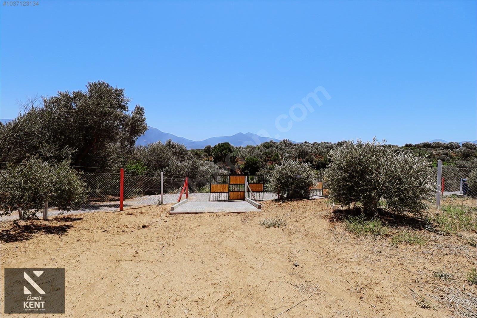 Kemalpaşa Çambel Satılık Bahçe 382 m2 - İZMİR KEMALPAŞA fotoğraf 35