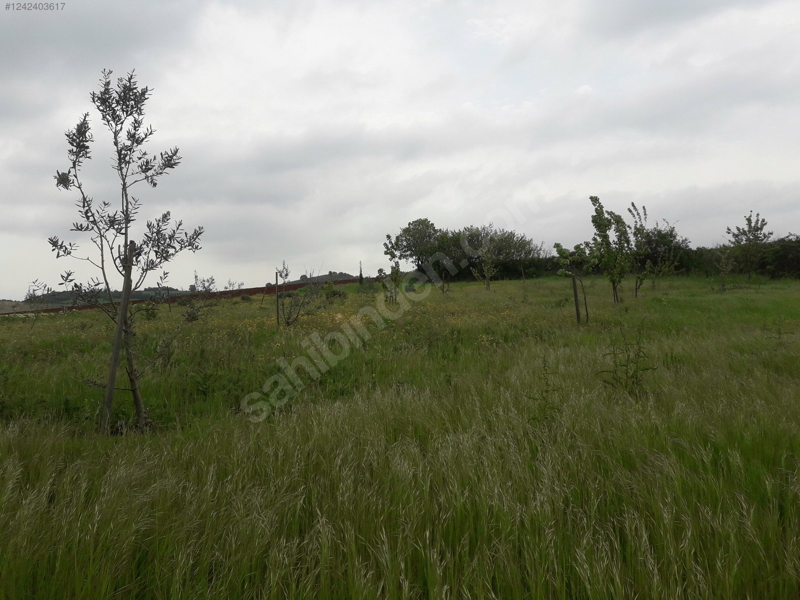 BURSA KARACABEY YEŞİLDERE KÖYÜNDE 2.950 M² TARLA SATILIKTIR - BURSA KARACABEY fotoğraf 9