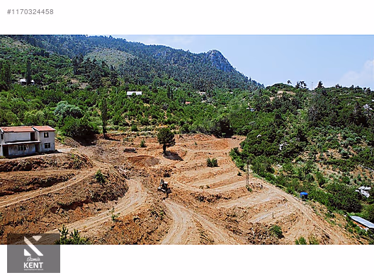 Kemalpaşa Atatürk Kozludere Satılık 6.543 m2 Arazi - İZMİR KEMALPAŞA fotoğraf 4