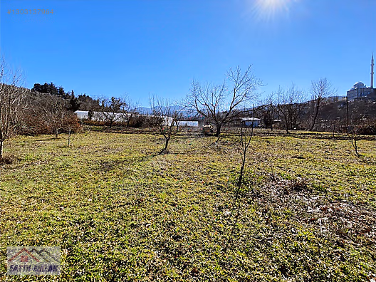 GEMLİK MURATOBA KÖYÜ 1134m² İMARLI SATILIK BAHÇE - BURSA GEMLİK fotoğraf 14