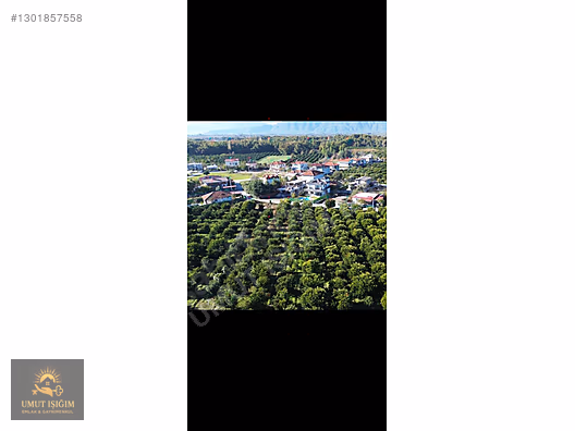 TOPARLARDA , YERLEŞİM ALANINDA SATILIK - MUĞLA KÖYCEĞİZ fotoğraf 13