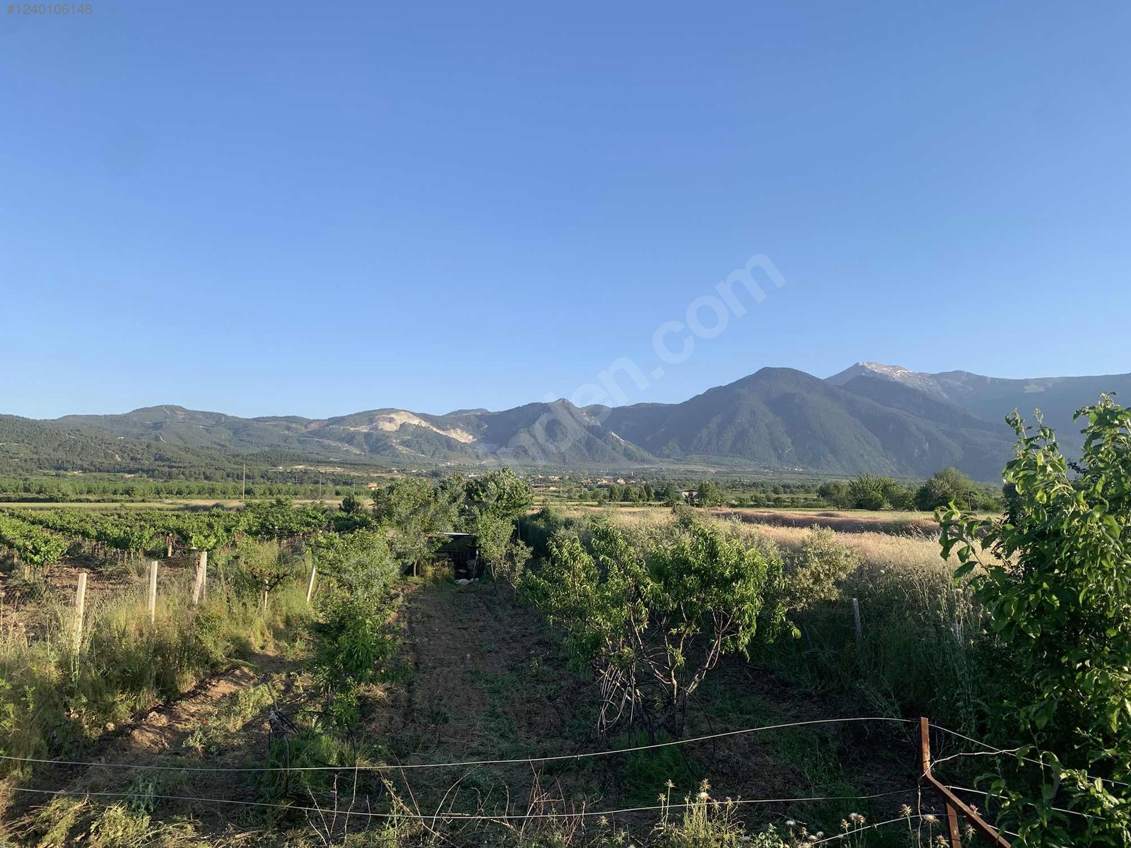 DENİZLİ HONAZ KOCABAŞ MAHALLESİNDE  688 M² TARLA  SATILIKTIR - DENİZLİ HONAZ fotoğraf 15