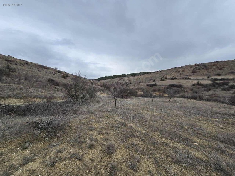 DENİZLİ ÇİVRİL BOZDAĞ   KÖYÜNDE   2.100  M²  TARLA  SATILIKTIR - DENİZLİ ÇİVRİL fotoğraf 3