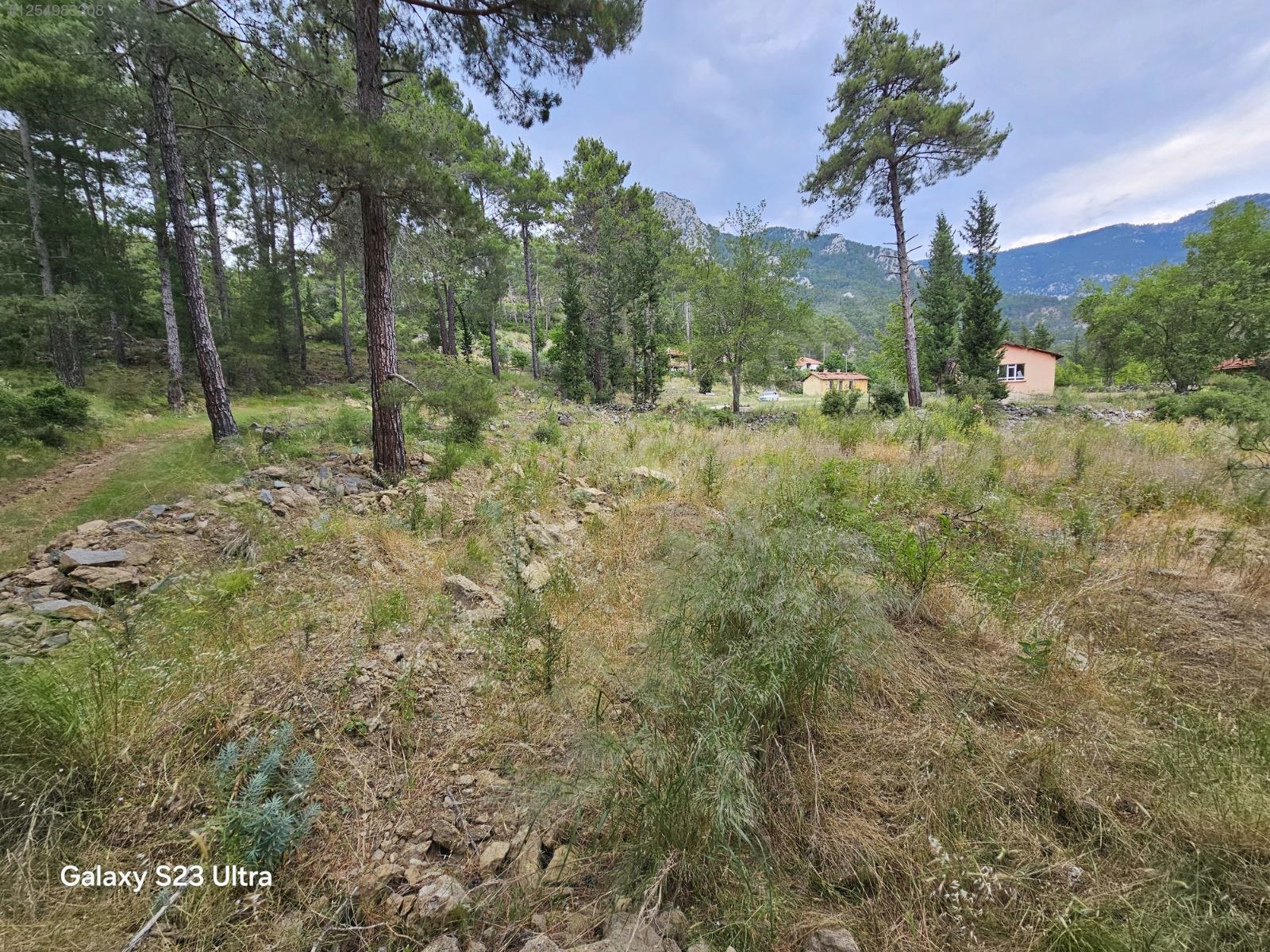 Dere Kenarı Tek Hisse Antalya / Serik / Demirciler Mahallesinde 1.727 m² SATILIK - ANTALYA SERİK fotoğraf 4