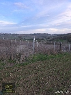 KIRKLARELİ MERKEZ KAPAKLI SÜPER KONUMDA 1231 M2 TARLA - KIRKLARELİ MERKEZ fotoğraf 8
