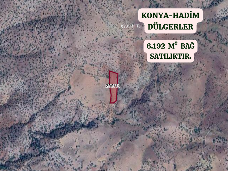KONYA HADİM DÜLGERLER  KÖYÜNDE 6.192  M²  BAĞ  SATILIKTIR - KONYA HADİM fotoğraf 2