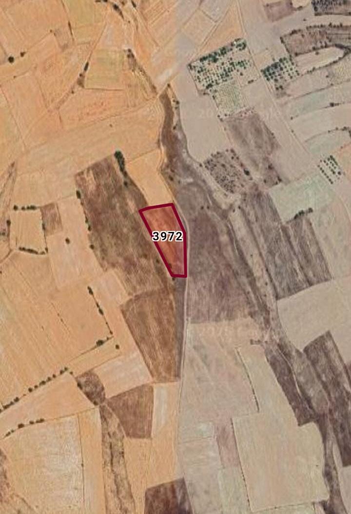 DENİZLİ ÇİVRİL BOZDAĞ MAH. 7.000M² TARLA SATILIKTIR - DENİZLİ ÇİVRİL fotoğraf 2