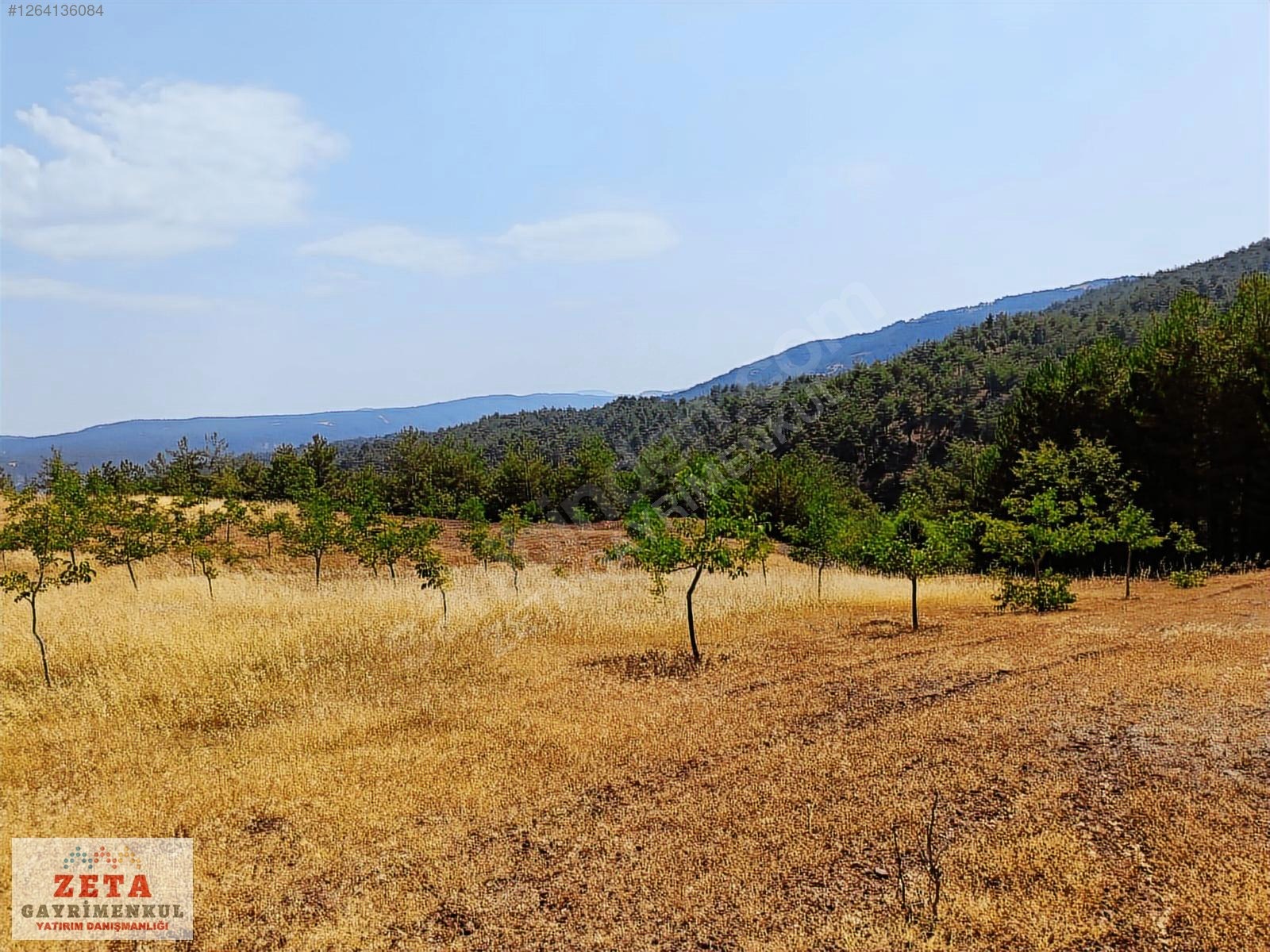 Sakarya Taraklı'da 11.240 m² Yatırımlık Tarla - SAKARYA TARAKLI fotoğraf 4
