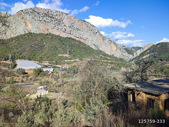ANAMUR KORUCUKTA MÜSTAKİL SATILIK ZEYTİN VE AVOKADO BAHÇESİ - MERSİN ANAMUR fotoğraf 9