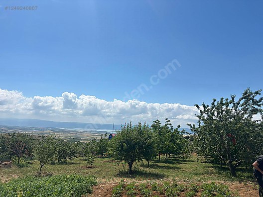 BURSA KARACABEY KARAKOCA KÖYÜNDE 2.000  M² TARLA SATILIKTIR - BURSA KARACABEY fotoğraf 9